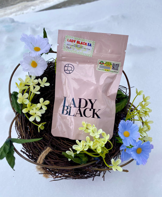 Lady Black Eyelash Glue 5g – Gold Nail & Beauty Supply (Eyelash Supply in Barrie, ON, Canada)